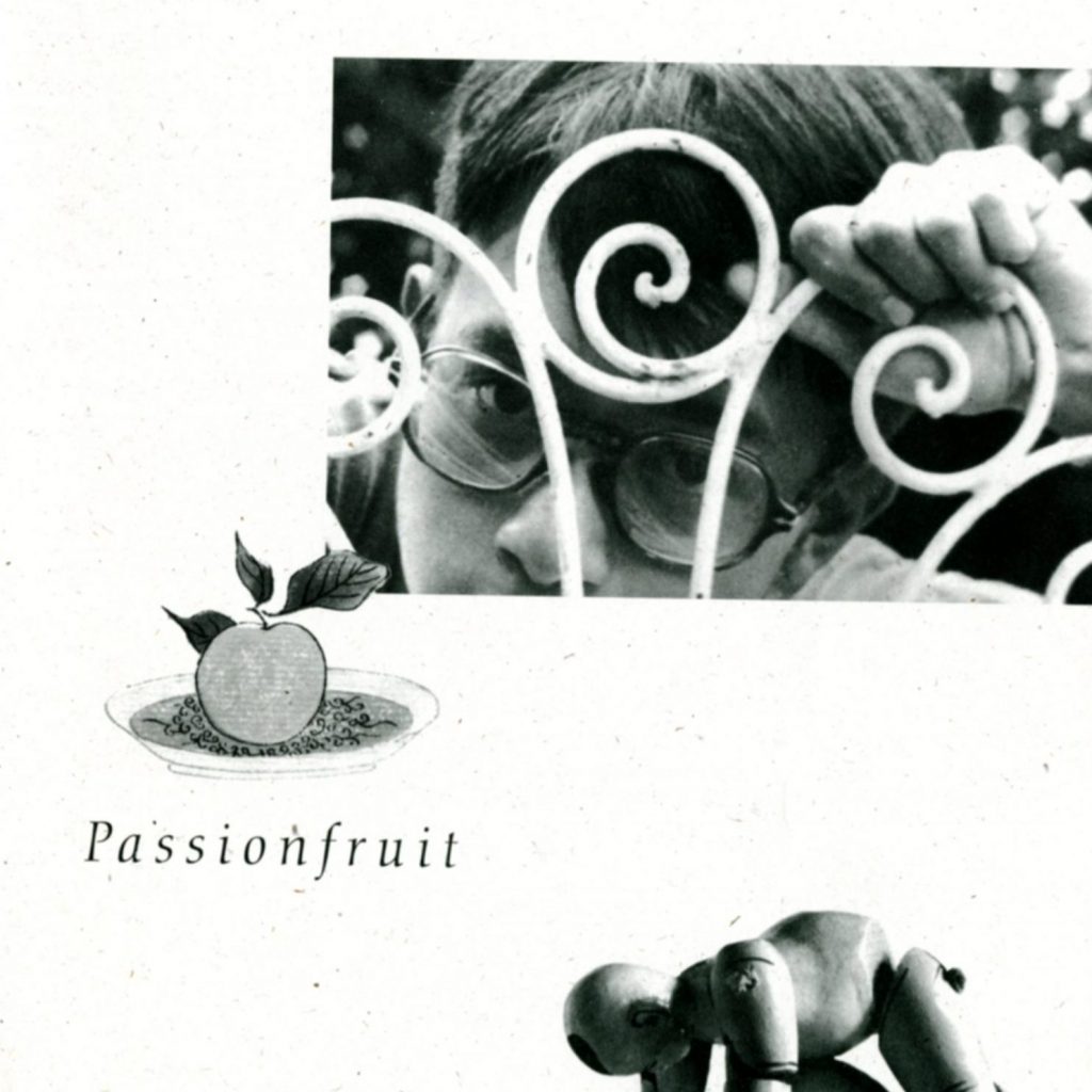 passionfruit-cover